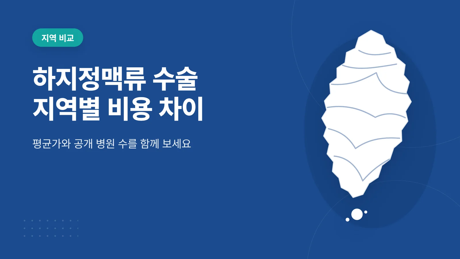 하지정맥류 수술 지역별 비용 차이 — 비용 비교 썸네일